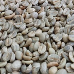 Premium Bulk Yemeni Specialty Arabica Green Coffee Beans — Origin Yemen (Wholesale Enquiry) - Image 3