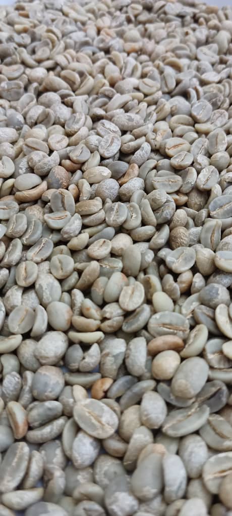 Premium Bulk Yemeni Specialty Arabica Green Coffee Beans — Origin Yemen (Wholesale Enquiry)
