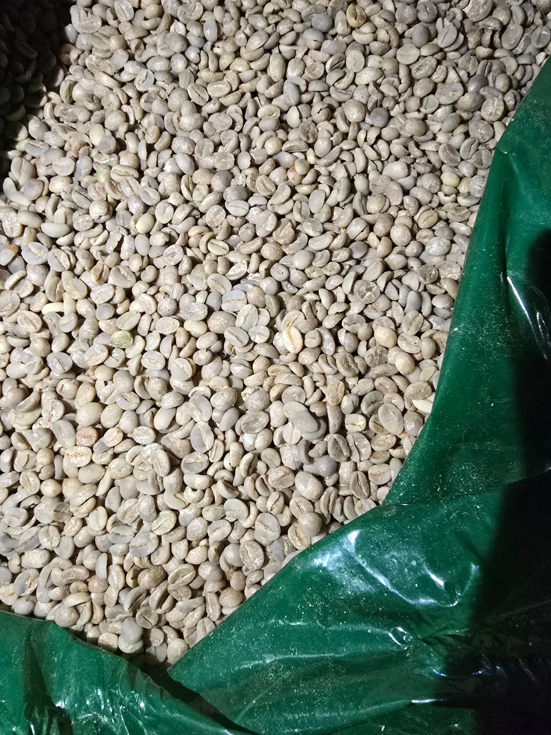 Premium Bulk Yemeni Specialty Arabica Green Coffee Beans — Origin Yemen (Wholesale Enquiry) - Image 4